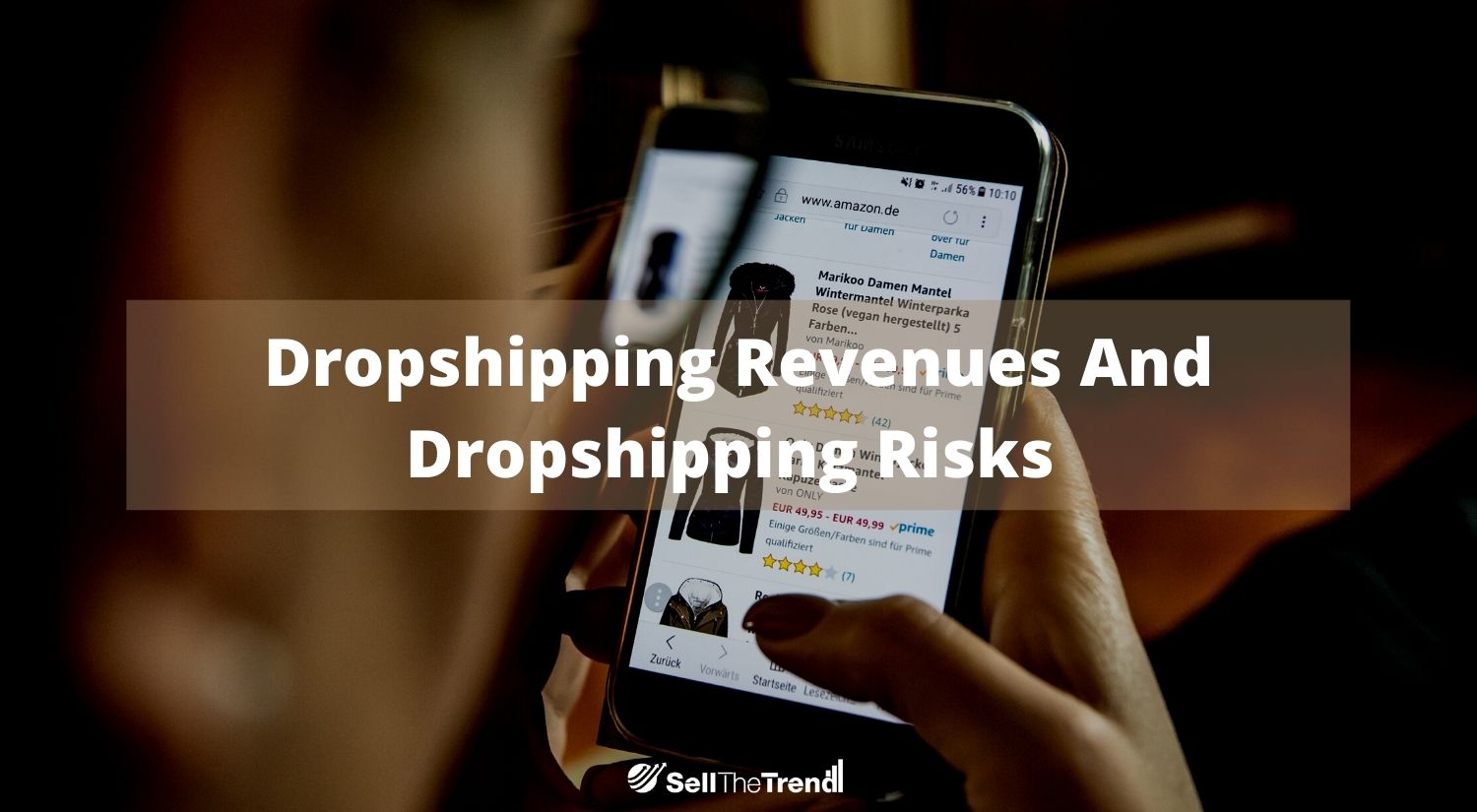 A Definitive Guide To Dropshipping Revenues And Dropshipping Risks